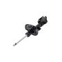 FCS Struts 333591R Suspension Strut