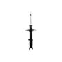 FCS Struts 333592R Suspension Strut