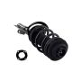 FCS Struts 3335992R Suspension Strut and Coil Spring Assembly