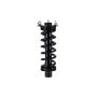 FCS Struts 3336329L Suspension Strut and Coil Spring Assembly
