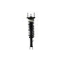 FCS Struts 3336338 Suspension Strut and Coil Spring Assembly