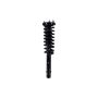 FCS Struts 3336347L Suspension Strut and Coil Spring Assembly