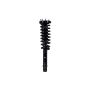 FCS Struts 3336347R Suspension Strut and Coil Spring Assembly