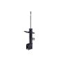 FCS Struts 333661L Suspension Strut