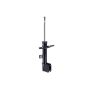 FCS Struts 333661R Suspension Strut