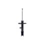 FCS Struts 333661R Suspension Strut
