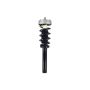 FCS Struts 3337073 Suspension Strut and Coil Spring Assembly