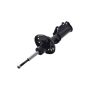 FCS Struts 333713R Suspension Strut