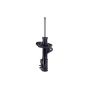 FCS Struts 333716R Suspension Strut