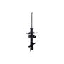 FCS Struts 333725L Suspension Strut