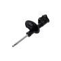 FCS Struts 333728R Shock Absorber