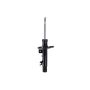 FCS Struts 333732R Shock Absorber