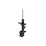 FCS Struts 333746L Suspension Strut