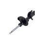 FCS Struts 333746R Suspension Strut