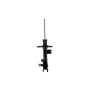 FCS Struts 333787L Suspension Strut