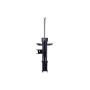 FCS Struts 333802L Suspension Strut