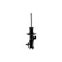 FCS Struts 333812L Suspension Strut