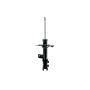 FCS Struts 333813R Suspension Strut