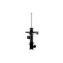 FCS Struts 333814R Suspension Strut