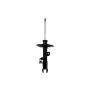 FCS Struts 333815L Suspension Strut