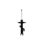 FCS Struts 333815R Suspension Strut