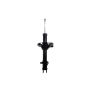 FCS Struts 333816L Suspension Strut