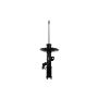 FCS Struts 333817L Suspension Strut