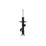 FCS Struts 333818L Suspension Strut