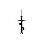 FCS Struts 333818R Suspension Strut