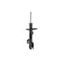 FCS Struts 333819L Suspension Strut