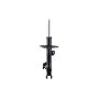 FCS Struts 333819L Suspension Strut