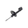 FCS Struts 333819L Suspension Strut