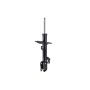 FCS Struts 333819R Suspension Strut