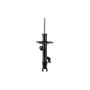 FCS Struts 333819R Suspension Strut
