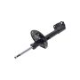 FCS Struts 333819R Suspension Strut