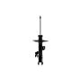 FCS Struts 333826L Suspension Strut