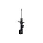 FCS Struts 333827R Suspension Strut