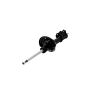 FCS Struts 333830L Suspension Strut