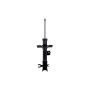 FCS Struts 333830L Suspension Strut
