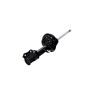 FCS Struts 333830L Suspension Strut