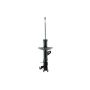FCS Struts 333831R Suspension Strut
