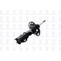 FCS Struts 333832L Suspension Strut