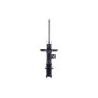 FCS Struts 333840L Suspension Strut