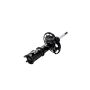 FCS Struts 333844R Suspension Strut