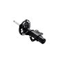 FCS Struts 333845R Suspension Strut