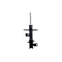 FCS Struts 333857R Suspension Strut