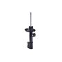 FCS Struts 333861L Suspension Strut
