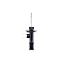 FCS Struts 333861L Suspension Strut