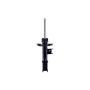 FCS Struts 333861R Suspension Strut