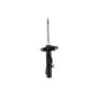 FCS Struts 333864R Suspension Strut